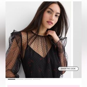 NWT Loft Sheer Polka Dot Top